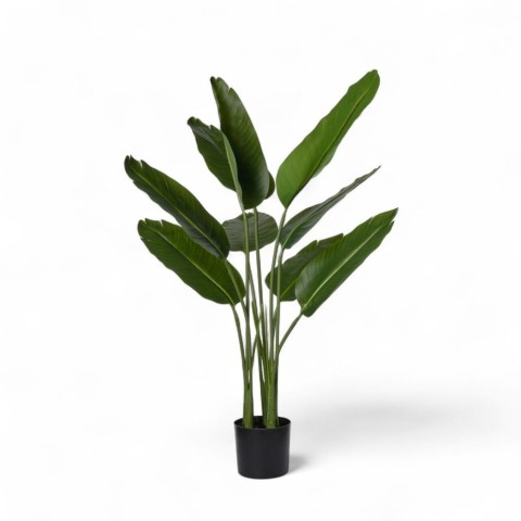 PIANTA STERLIZIA X3 CM90 GREEN